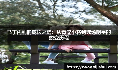 马丁内利的成长之路：从青涩小将到球场明星的蜕变历程