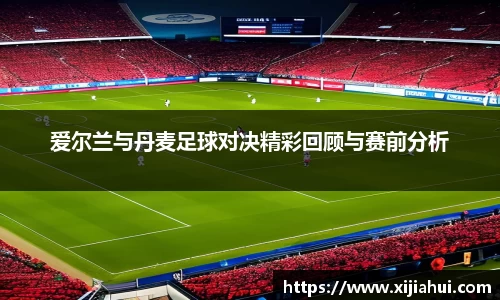 爱尔兰与丹麦足球对决精彩回顾与赛前分析