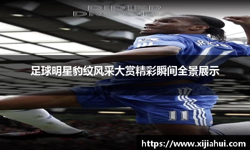 足球明星豹纹风采大赏精彩瞬间全景展示